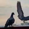zaenb.mhmd