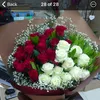catherinerose224