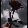 happy_queen098