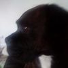 user679816250