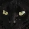 protagonista_nista