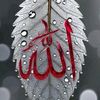 usmangani__01