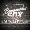 elsensualpony404