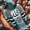 gak.tau0883