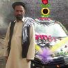 zayart.gull7