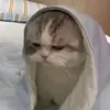 unknown_untitled