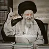 alihayder_45