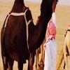 هميلان التميمي.