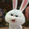 emotional__bunny