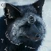 silverfox6rusty