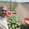 lio73579