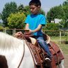 faustinocastro496