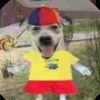doggy.candy