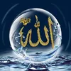 t_nabaa11