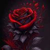 user5w9y6txtqr
