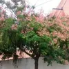 eunicesilvasilva41