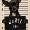 4:44