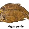 onlistoris