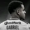 gabriel.costa354