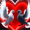 vijay.saras74