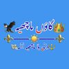 👑 🔱 گاؤں ماچھیہ 🦅🏴‍☠️