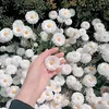 aysha.siddika0313