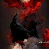 crow1058