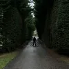 josh_on_gtlabomba