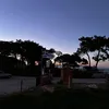 whatinthemonkeyfart