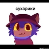 achopisat11