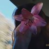 isq_3