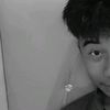 noval01211