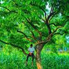 job_creator_hridoy293