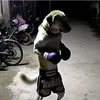gonzalessecretaccount