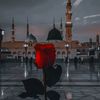 jawadzaib6295