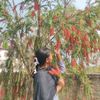 asmi.ta72