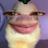 safirasaf5