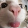 haeeee62