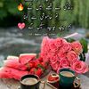 user43316926865957