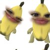 spamsasaachek