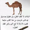 salimibrahim669