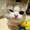 iulem_1208