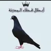 تحياتي للجميع