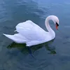 jasm1ne782