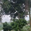 panji.saputra30