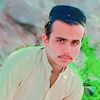 armani.halak878