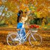 chwaseem40423