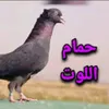 c_sghn