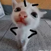 anhhbanek