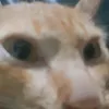 _anhyeuem_8